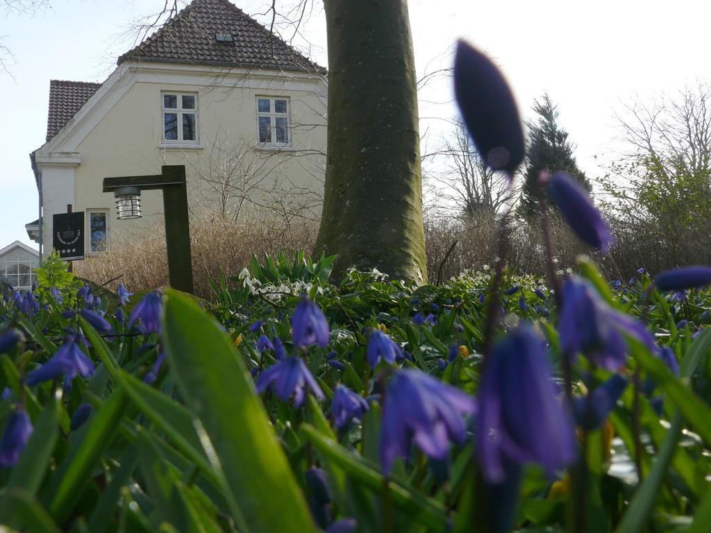 Bed and Breakfast Tiendegaarden Mons Klint Borre Exteriér fotografie