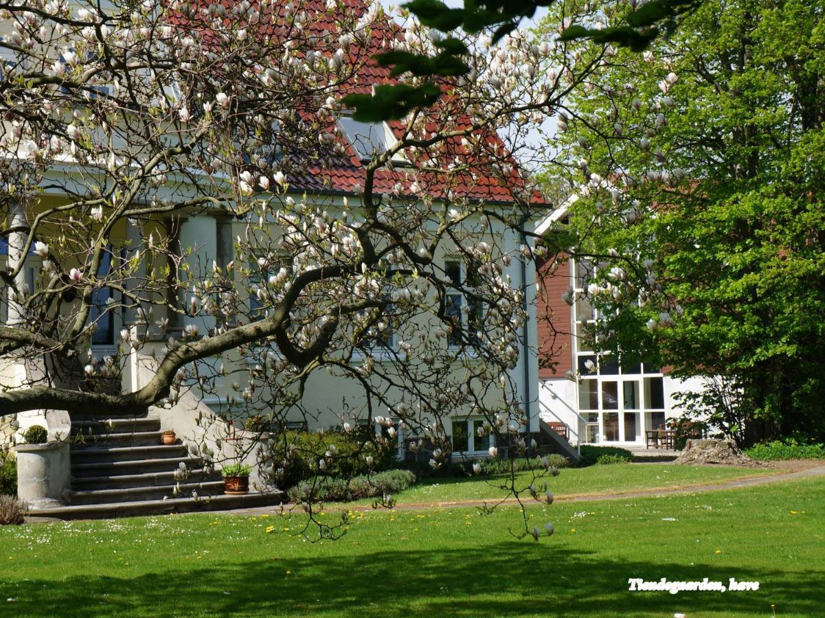 Bed and Breakfast Tiendegaarden Mons Klint Borre Exteriér fotografie