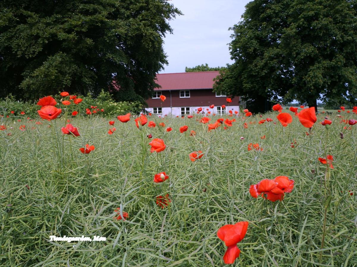 Bed and Breakfast Tiendegaarden Mons Klint Borre Pokoj fotografie